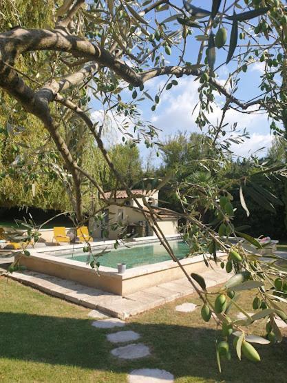 Mas Des Muses Bed & Breakfast LʼIsle-sur-la-Sorgue Dış mekan fotoğraf